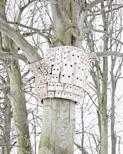 'Birdhouses'